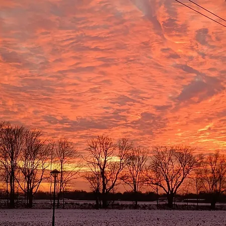 Oderbruchhuette דירה Neulewin