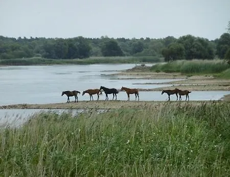 Oderbruchhuette *