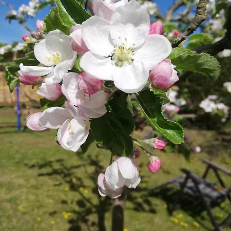 Oderbruchhuette *
