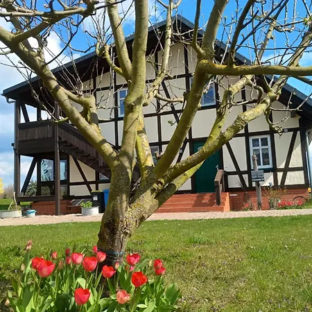 דירה Oderbruchhuette