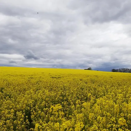 דירה Oderbruchhuette Neulewin