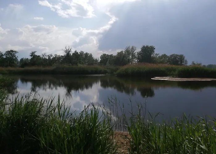 Oderbruchhütte * Neulewin