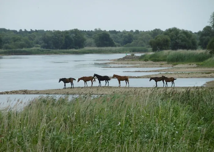 Oderbruchhütte Apartment
