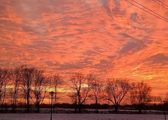 Oderbruchhütte Apartment Neulewin