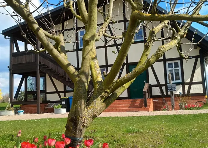 Apartment Oderbruchhütte