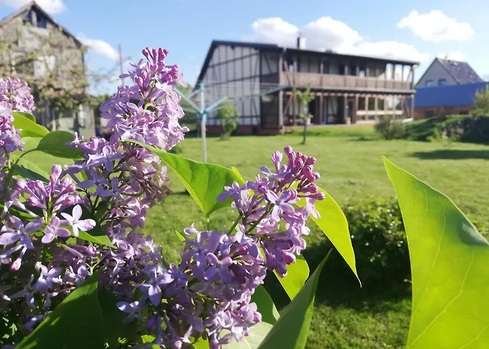 Apartment Oderbruchhütte
